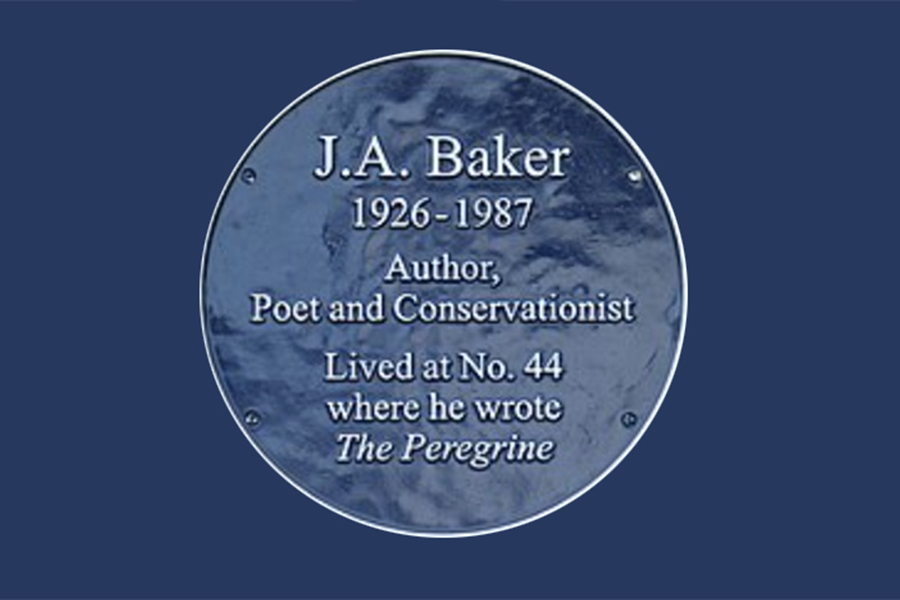 Heritage Open Days - Story of JA Baker and The Peregrine