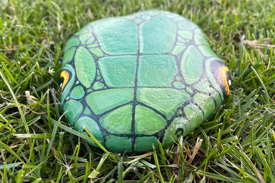 Heritage Open Days Chelmsford - History Rock Snake